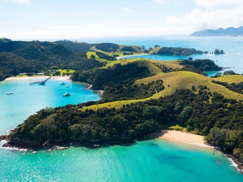 From Auckland: Full Day Private Tour to the Bay of Islands - Practical Details and Value