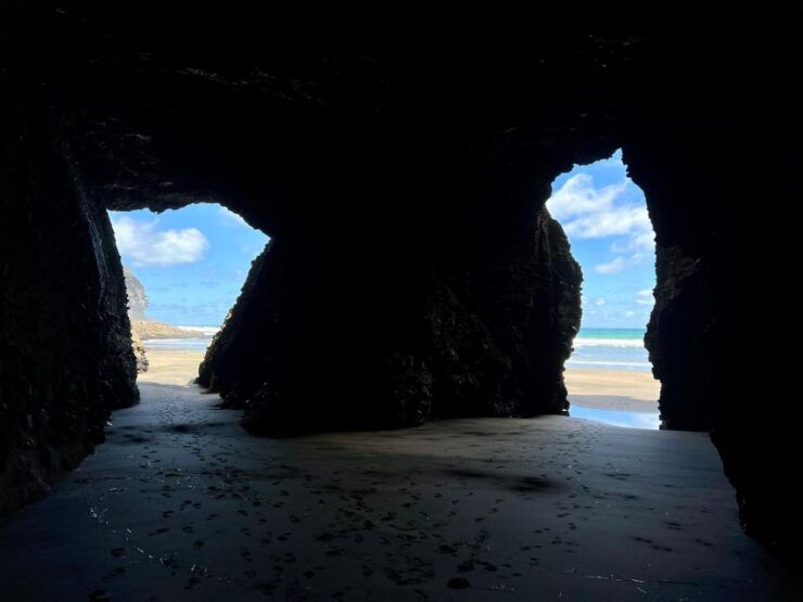 From Auckland: Guided Tour of Piha With Scenic Beach Walks - Activity Details and Highlights