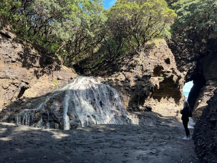 From Auckland: Guided Tour of Piha With Scenic Beach Walks - Meeting Point and Starting Location
