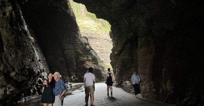 From Auckland: Guided Tour of Piha With Scenic Beach Walks - Important Information