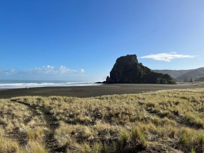 From Auckland: Guided Tour of Piha With Scenic Beach Walks - Similar Activities