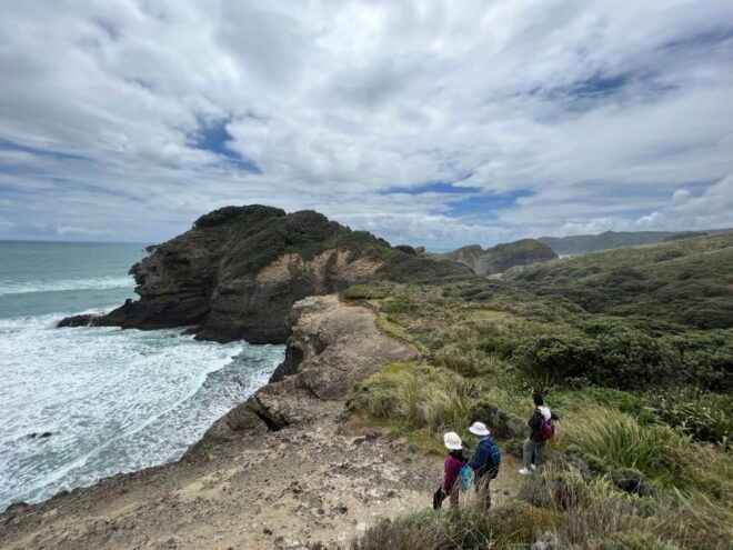 From Auckland: Guided Tour of Piha With Scenic Beach Walks - Activity Description