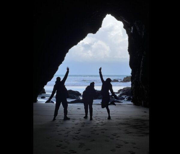 From Auckland: Guided Tour of Piha With Scenic Beach Walks - Common Questions
