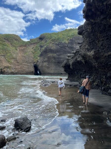 From Auckland: Guided Tour of Piha With Scenic Beach Walks - The Sum Up