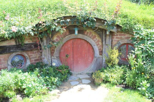 From Auckland: Hobbiton Afternoon Tour - Customer Reviews