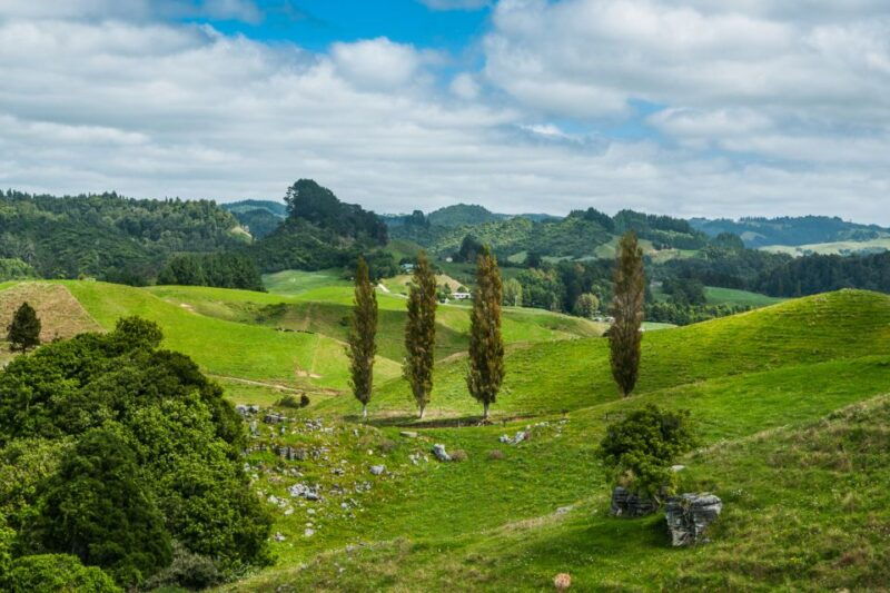From Auckland: Hobbiton and Waitomo Day Tour with Lunch - Exploring the Hobbiton and Waitomo Glow Worm Caves Day Tour from Auckland