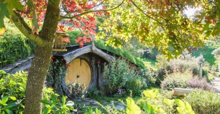 From Auckland: Hobbiton and Waitomo Day Tour with Lunch - Is This Tour Right for You?