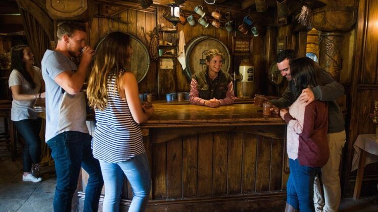 From Auckland: Hobbiton Movie Set Full-Day Trip - Experience Highlights