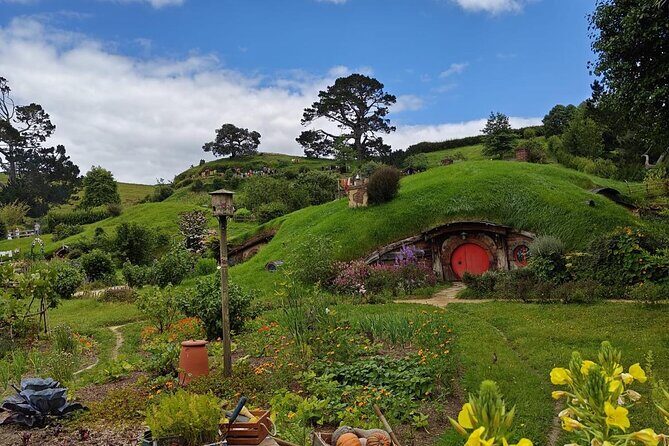 From Auckland- Hobbiton Movie Set & Te Puia Small Group Day Tour - Final Thoughts: Who Will Love This Tour?