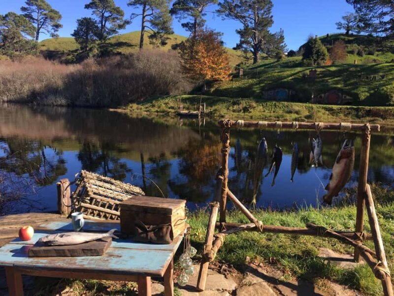 From Auckland: Hobbiton Private Transfers with Group Tour - An Overview of the Hobbiton Private Group Tour