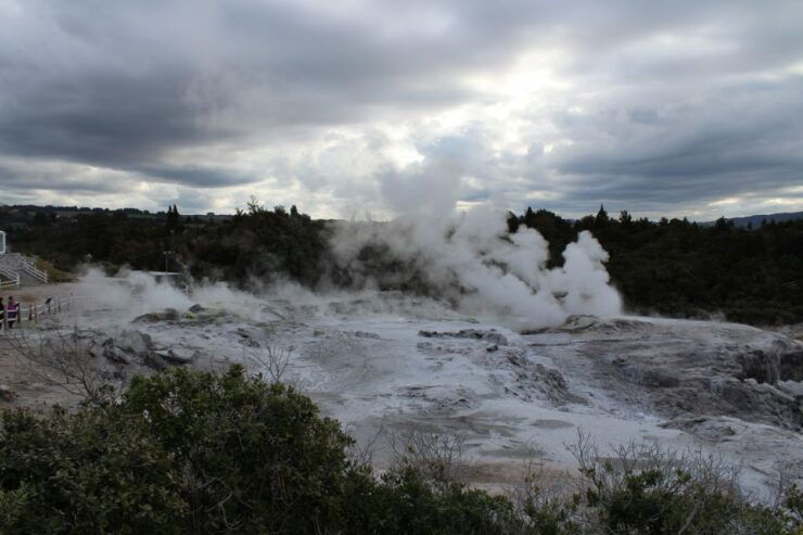 From Auckland: Hobbiton & Rotorua Tour With Lunch at Te Puia - Tour Highlights