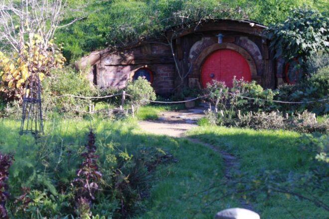 From Auckland: Hobbiton & Rotorua Tour With Lunch at Te Puia - Hobbiton Movie Set Experience