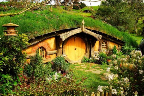 From Auckland: Hobbiton & Rotorua Tour With Lunch at Te Puia - Customer Reviews and Feedback