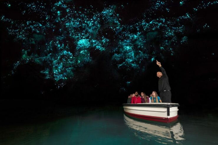 From Auckland: Hobbiton & Waitomo Caves Day Trip With Lunch - Activity Details