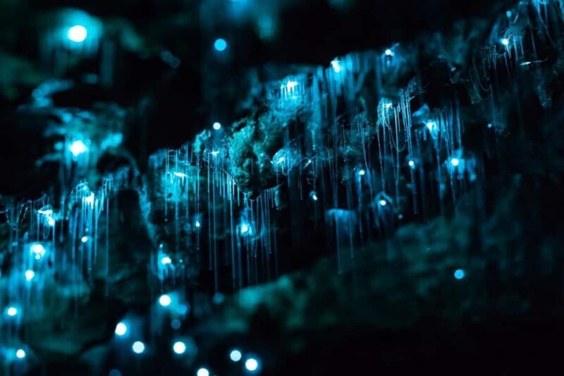 From Auckland: Hobbiton & Waitomo Caves Full-Day Trip - Scenic Return and Drop-off