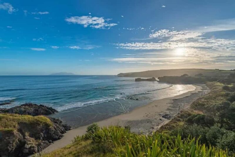 From Auckland: Kiwi Bird Encounter & 3-Course Dinner Tour - Good To Know