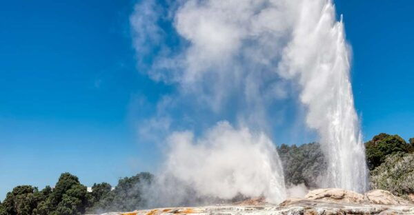 From Auckland: One-Way Transfer to Rotorua W/ Hobbiton Tour - Common Questions