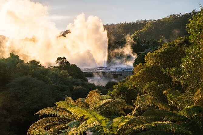 From Auckland : Rotorua Tepuia Tour with Haka and Hangi Lunch - Why This Tour Offers Great Value