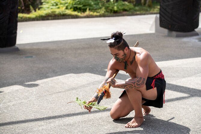 From Auckland : Rotorua Tepuia Tour with Haka and Hangi Lunch - Final Thoughts: Is This Tour Right for You?