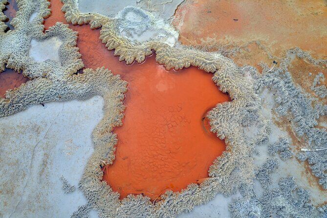 From Auckland, Rotorua Waiotapu and Maori Village Tour with Haka - Good To Know