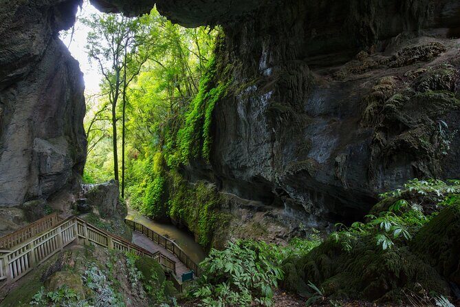 From Auckland: Rotorua & Waitomo Wonders Tour - Good To Know