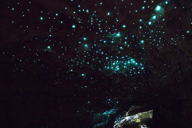 From Auckland: Rotorua & Waitomo Wonders Tour - Rotorua Geothermal Park: Geysers, Mud, and Mineral Terraces