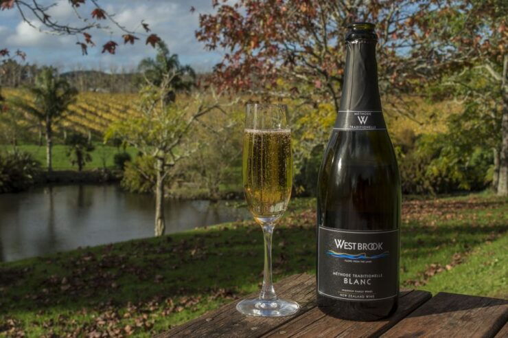 From Auckland: Small Group Kumeu Wine Tour With Lunch - Tour Details