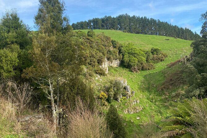 From Auckland: Spellbound, Waitomo Glowworm Cave Small Group Tour - The Sum Up