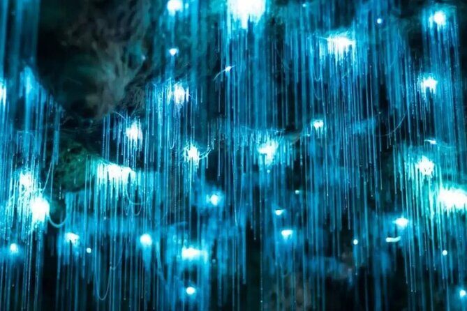 From Auckland: Spellbound, Waitomo Glowworm Cave Small Group Tour - Frequently Asked Questions