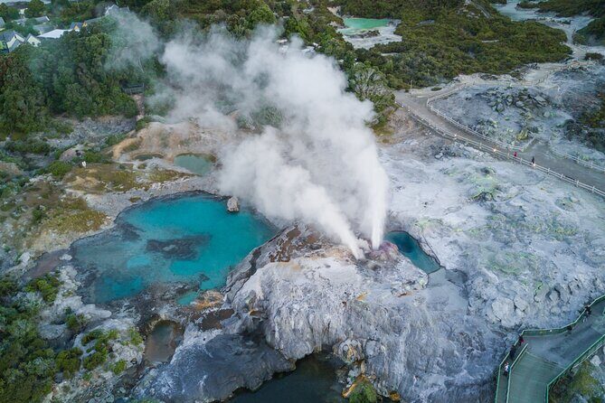 From Auckland : Te Puia & Wai Ariki Hot Springs Rotorua Day Tour - The Sum Up: Who Will Appreciate This Tour?