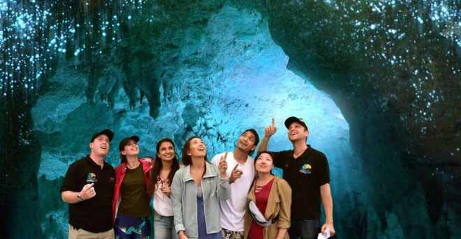 From Auckland: Transfer to Rotorua With Waitomo Caves Tour - Accessibility Considerations