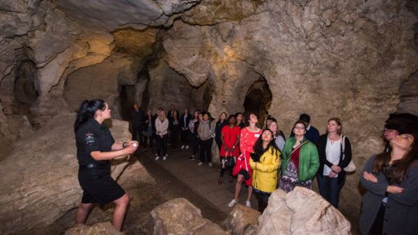 From Auckland: Transfer to Rotorua With Waitomo Caves Tour - Additional Information and Requirements