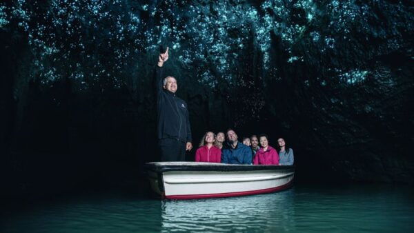 From Auckland: Transfer to Rotorua With Waitomo Caves Tour - Common Questions