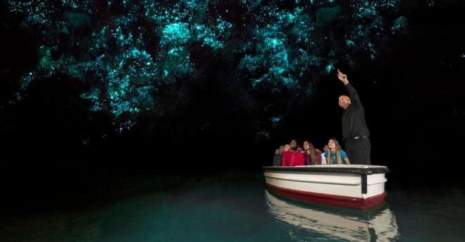 From Auckland: Two-Day Rotorua, Hobbiton, Waitomo Caves Tour - Customer Reviews