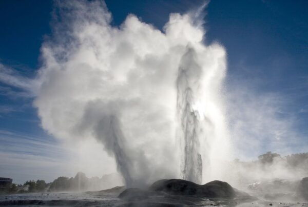 From Auckland: Two-Day Rotorua, Hobbiton, Waitomo Caves Tour - The Sum Up