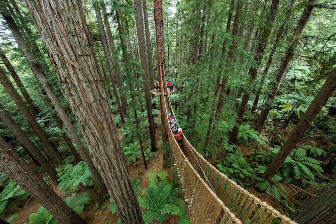 From Auckland Wai Ariki and Rotorua Redwoods Small Group Tour - Authentic Experiences & Insights from Reviews