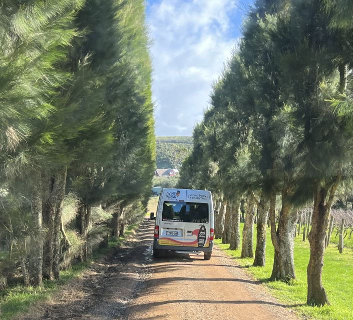 From Auckland: Waiheke Island Wine Cellar Tour - Important Information