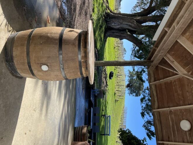 From Auckland: Waiheke Island Wine Cellar Tour - Know Before You Go