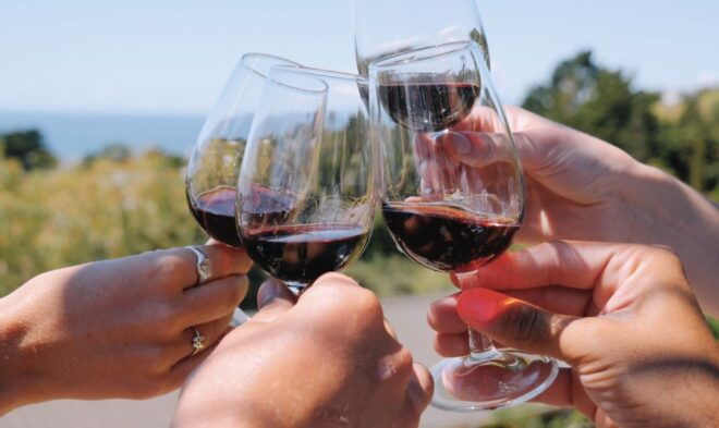 From Auckland: Waiheke Island Wine Cellar Tour - Other Recommended Tours