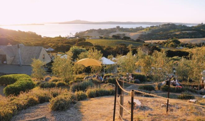 From Auckland: Waiheke Island Wine Cellar Tour - Customer Reviews and Location