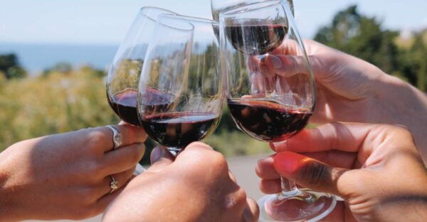 From Auckland: Waiheke Island Wine Cellar Tour - Common Questions