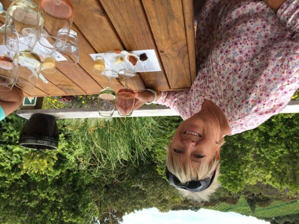 From Auckland: Waiheke Island Wine Cellar Tour - The Sum Up