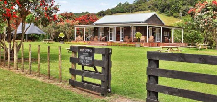 From Auckland: Waiheke Island Wineries' Tour - Experience