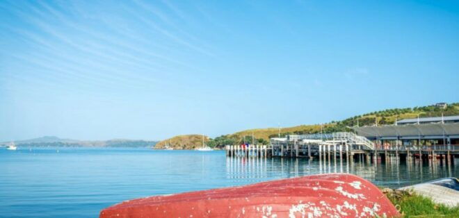 From Auckland: Waiheke Island Wineries' Tour - Inclusions