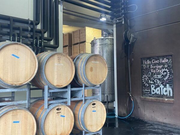 From Auckland: Waiheke Island Wineries' Tour - The Sum Up