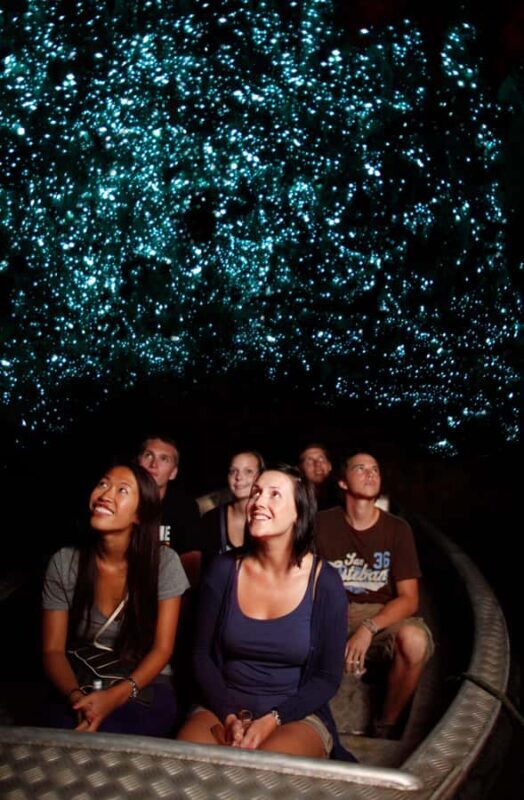 From Auckland: Waitomo Caves and Kiwi House Group Tour - Introduction to the Tour