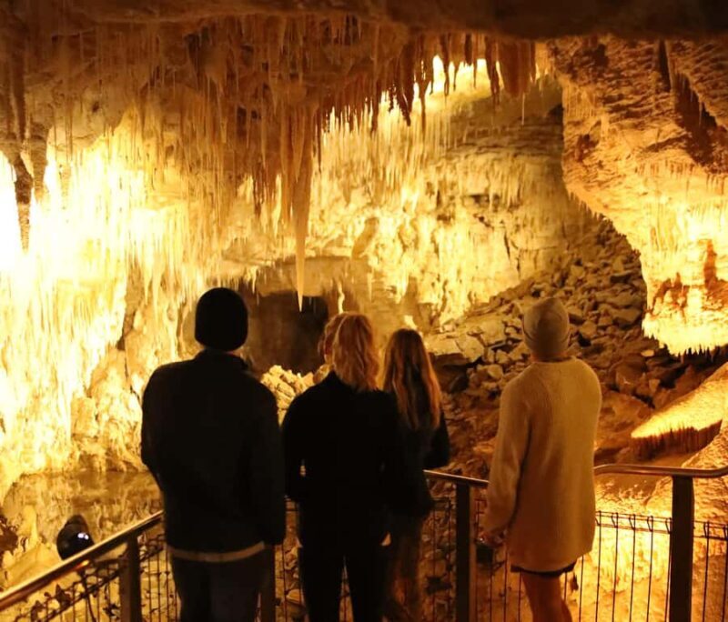 From Auckland: Waitomo Glow Worm Caves & Rotorua Tour - Good To Know