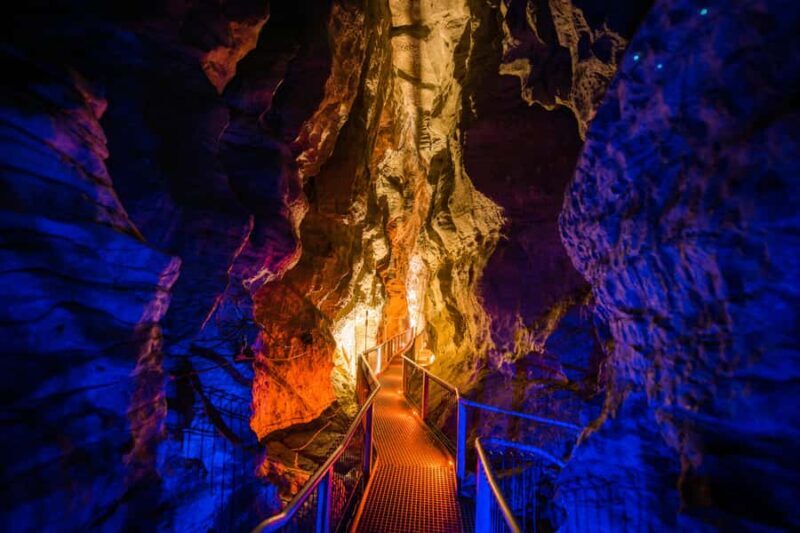 From Auckland: Waitomo Glowworm and Ruakuri Caves Day Tour - Good To Know