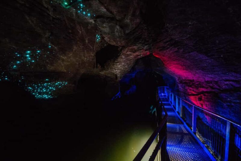 From Auckland: Waitomo Glowworm and Ruakuri Caves Day Tour - FAQs