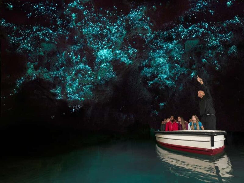 From Auckland: Waitomo Glowworm Cave Tour - An In-Depth Look at the Tour Experience